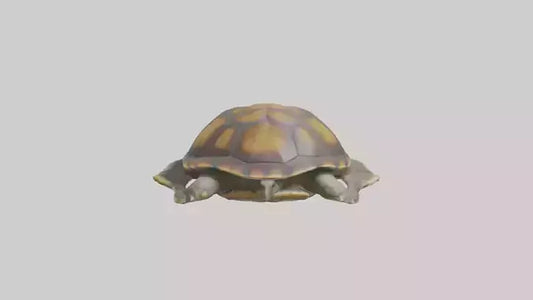 Flatback Turtle resting model VR / AR / low-poly