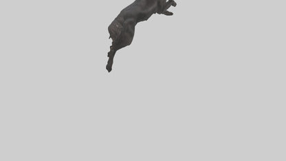 FlatCoated Retriever playing model 3D model