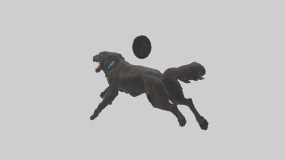 FlatCoated Retriever playing model 3D model