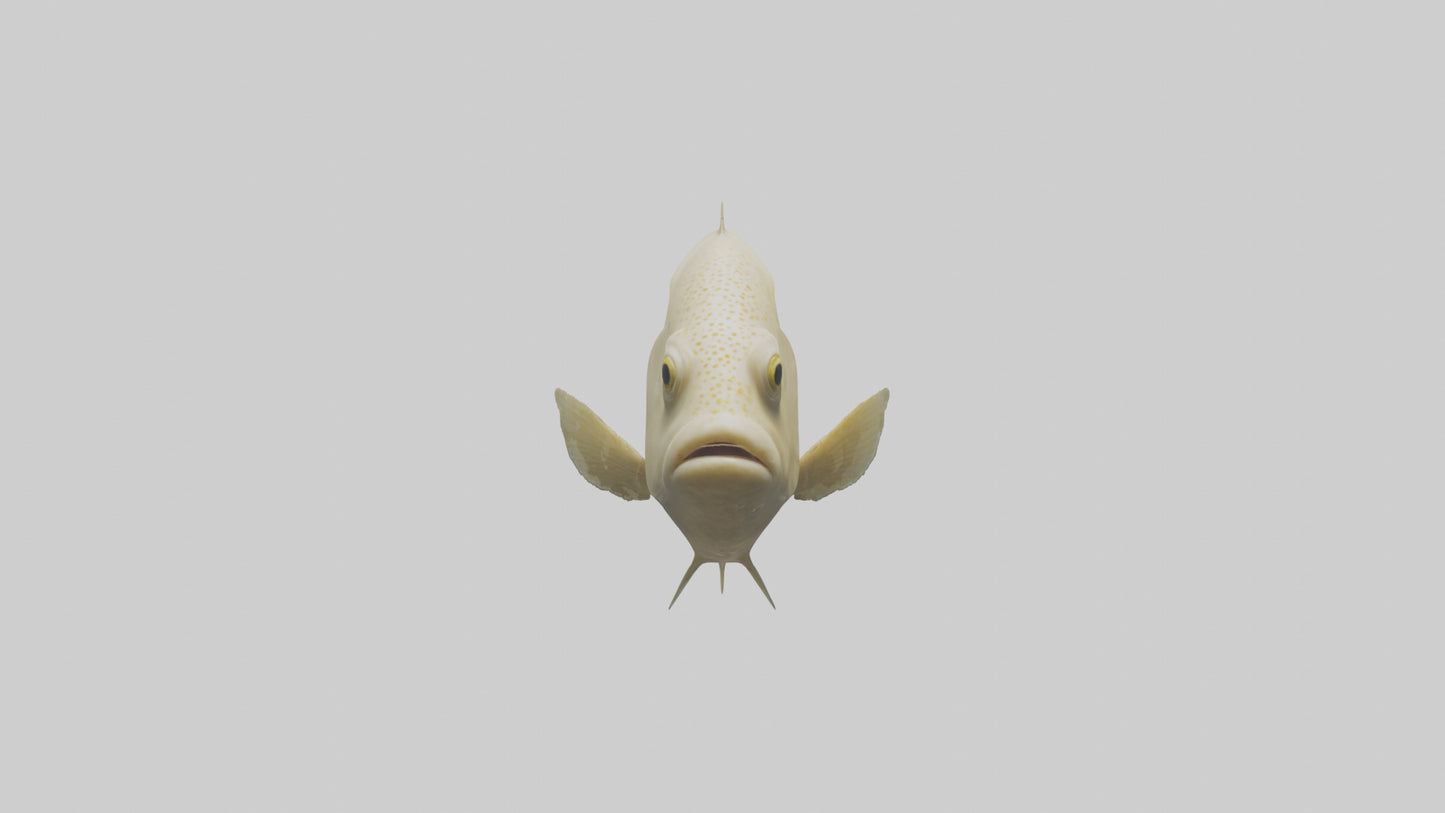 Flatfish swimming model 3D model