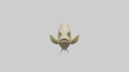 Flatfish swimming model 3D model
