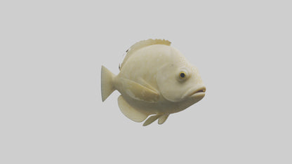 Flatfish swimming model 3D model