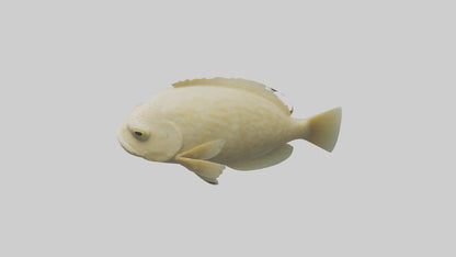 Flatfish swimming model 3D model