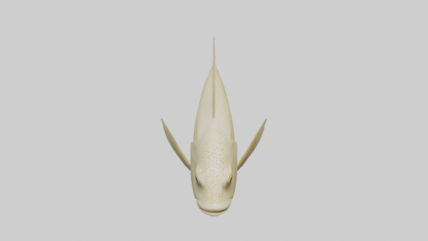 Flatfish swimming model 3D model