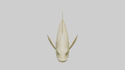 Flatfish swimming model 3D model