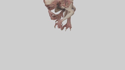 Flesh monster model 3D model