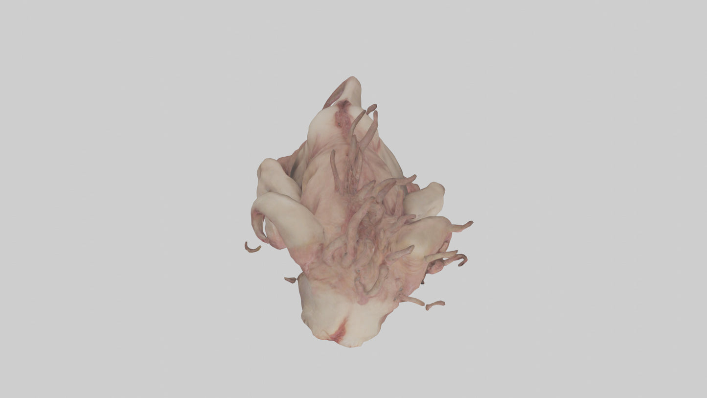 Flesh monster model 3D model