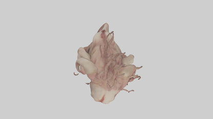 Flesh monster model 3D model