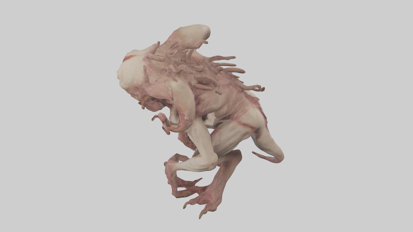 Flesh monster model 3D model