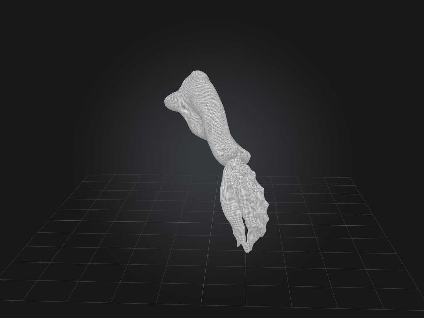 Flexor Pollicis Brevis Muscle Model 3D model