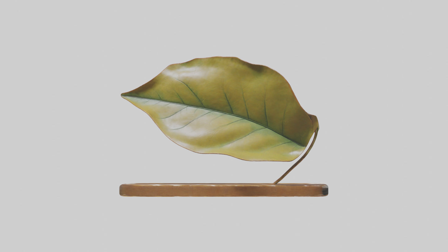 Floating Leaf Sculpture model 3D model