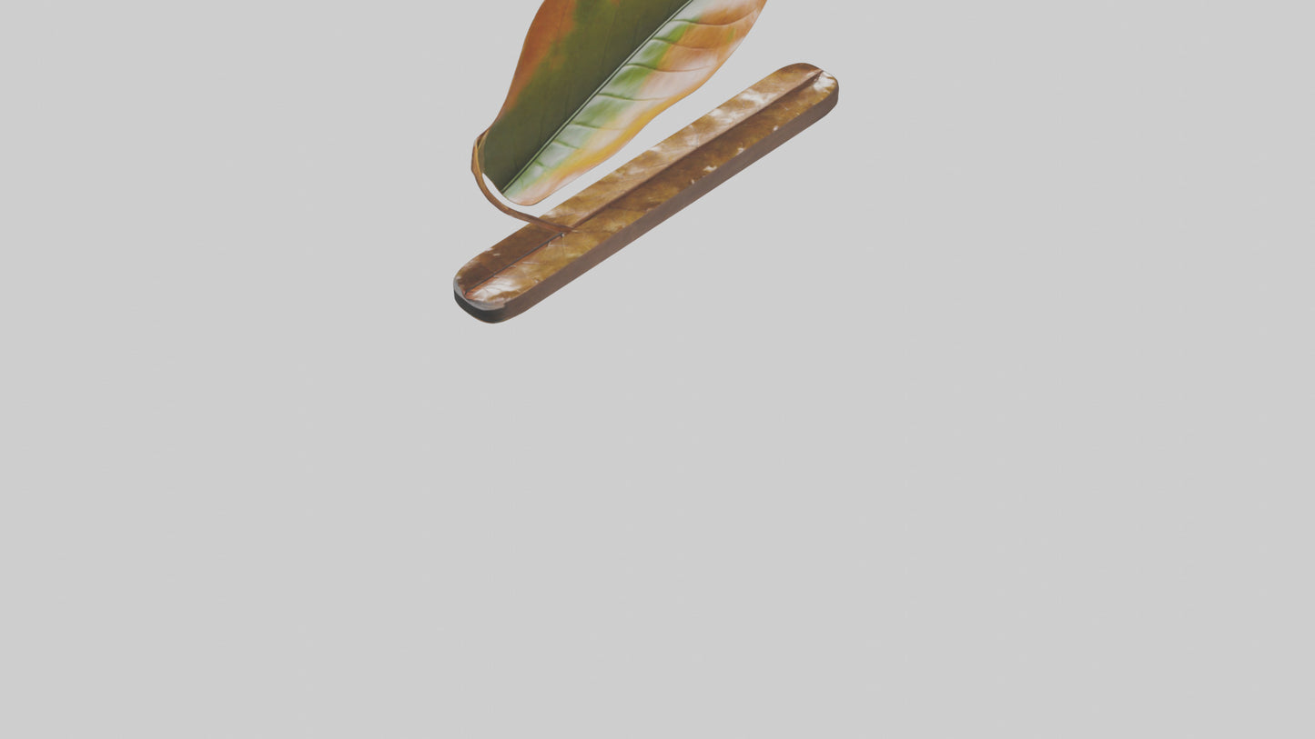 Floating Leaf Sculpture model 3D model