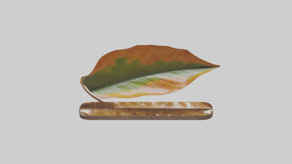 Floating Leaf Sculpture model 3D model