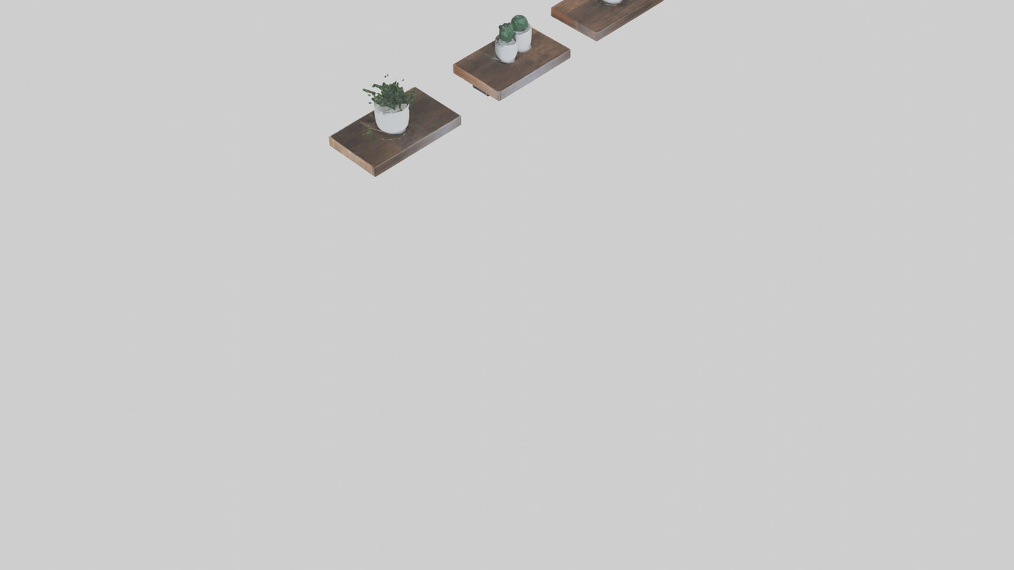 Floating Shelves 3D model