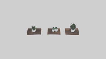 Floating Shelves 3D model