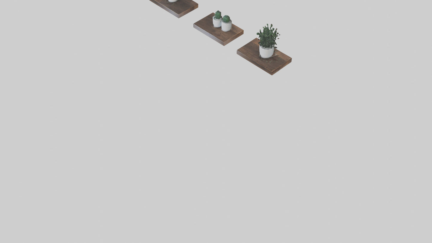 Floating Shelves 3D model