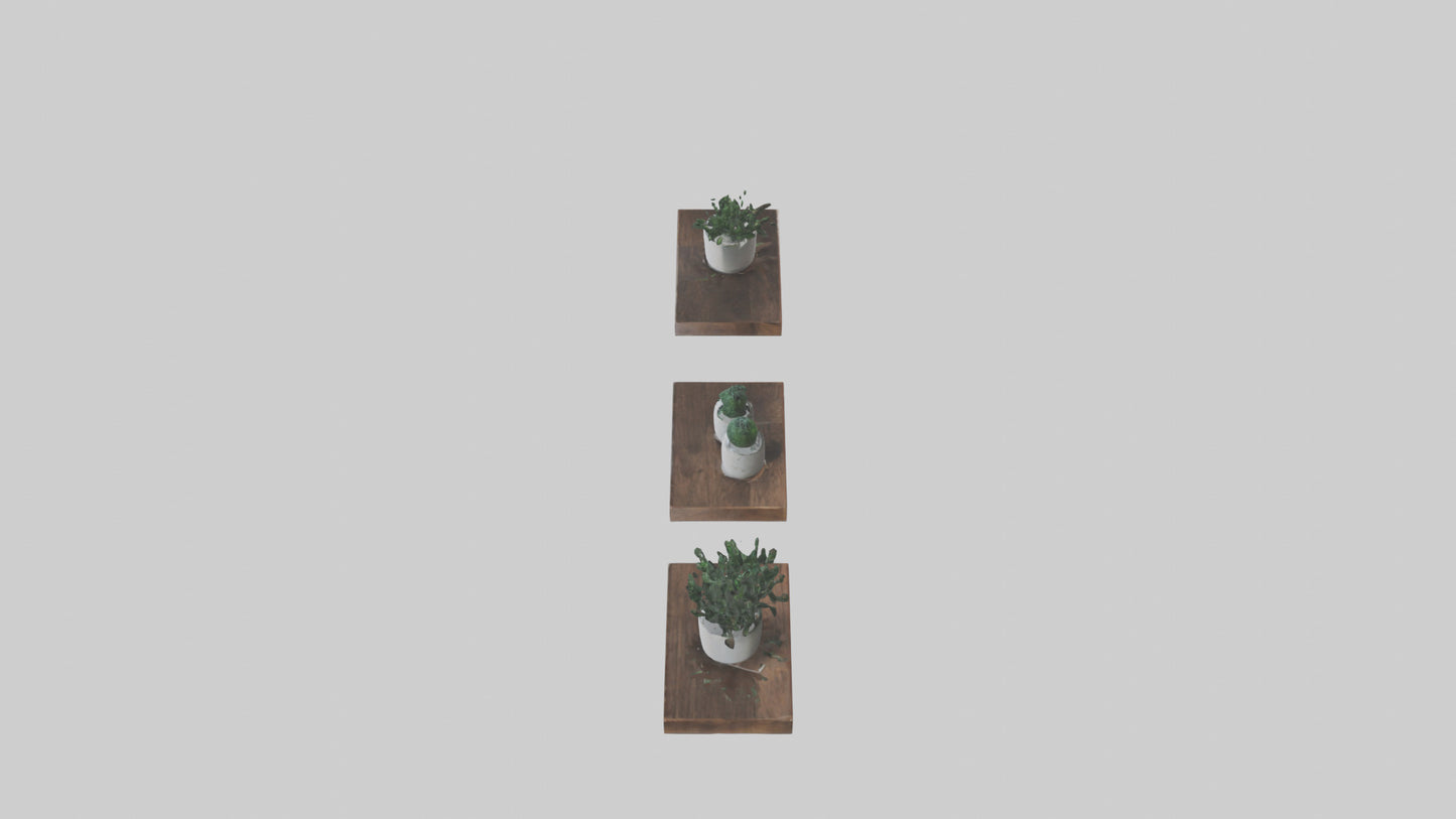 Floating Shelves 3D model