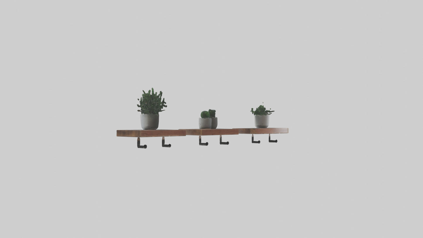 Floating Shelves 3D model