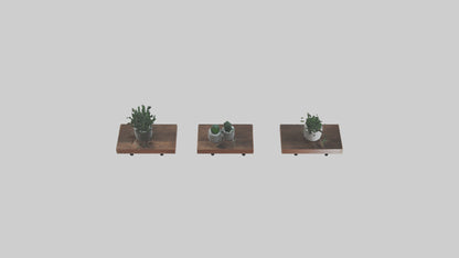 Floating Shelves 3D model