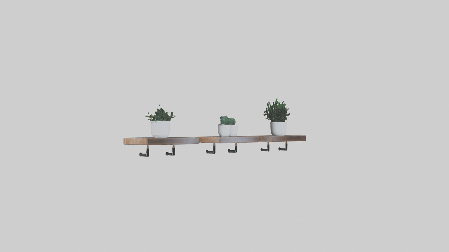 Floating Shelves 3D model