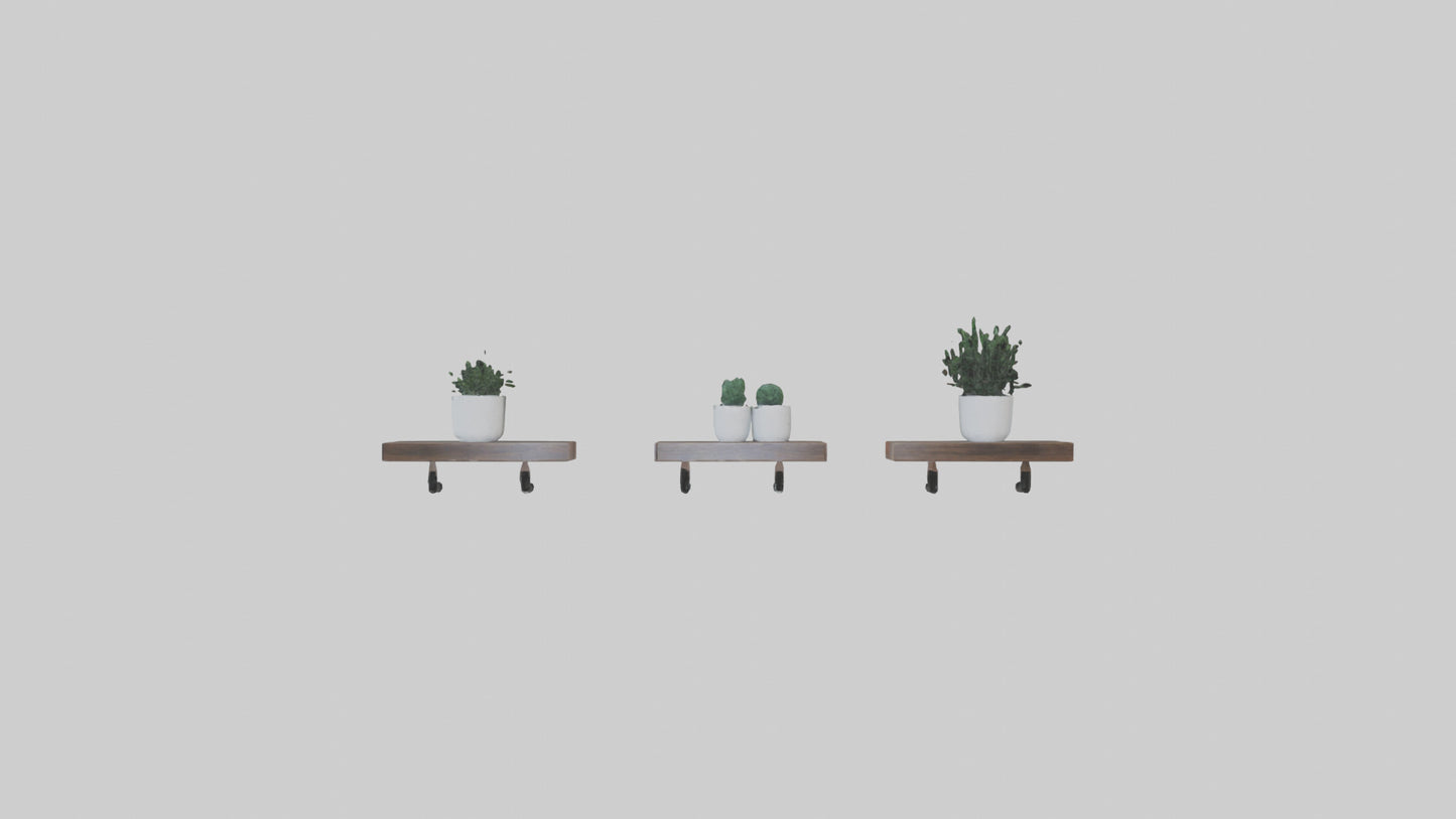 Floating Shelves 3D model