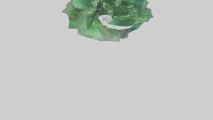 Floating Water Plant Sculpture model 3D model