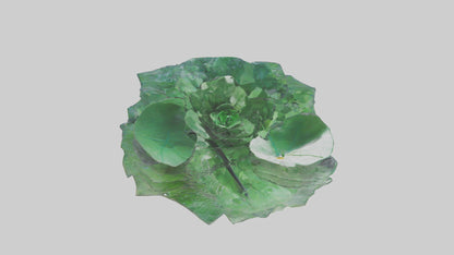 Floating Water Plant Sculpture model 3D model