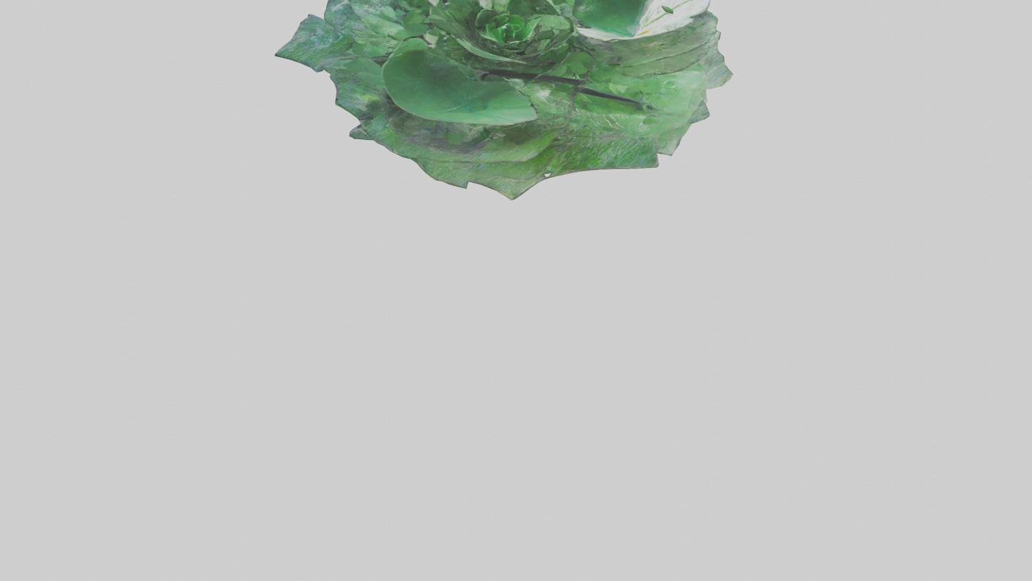Floating Water Plant Sculpture model 3D model