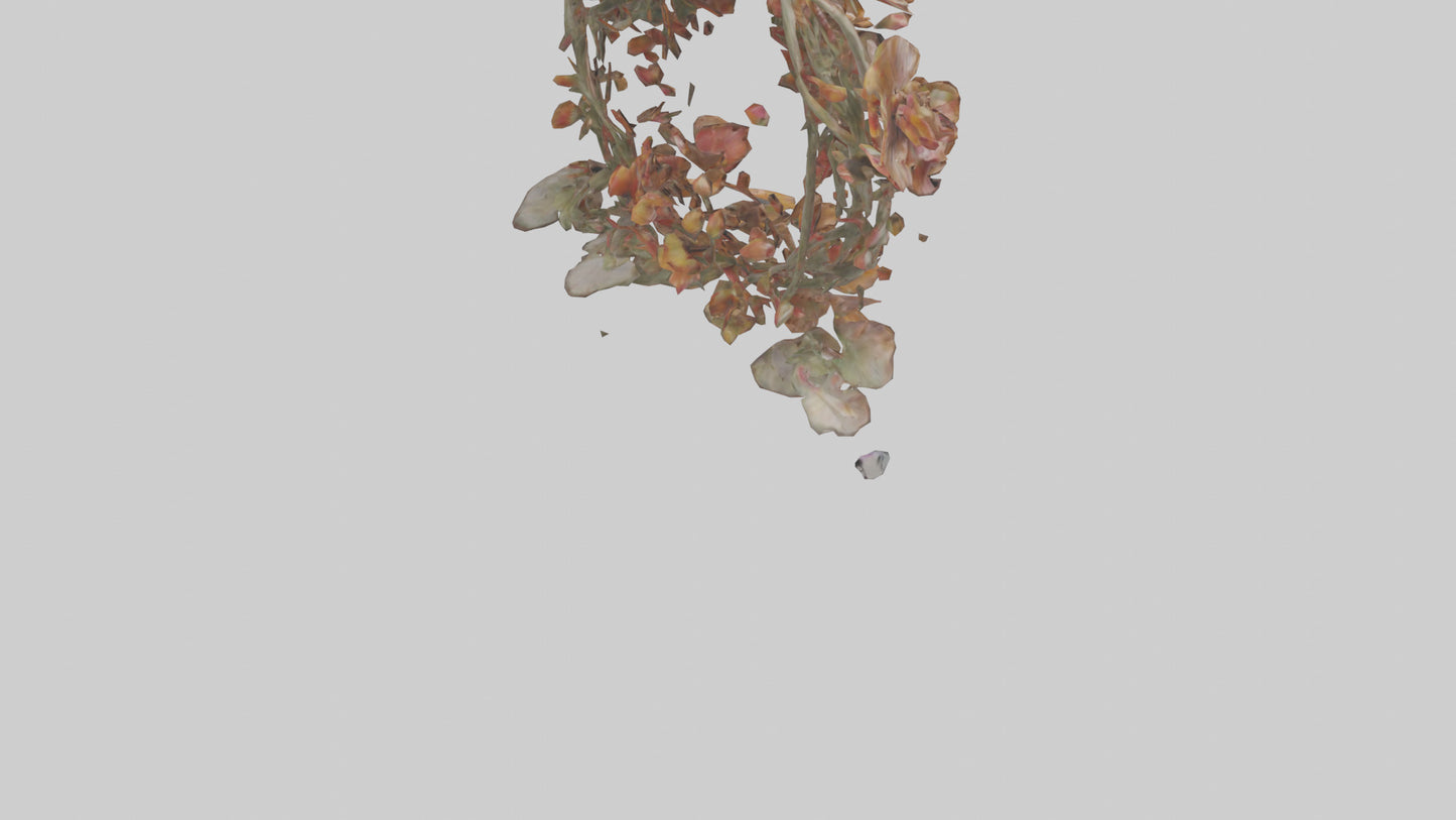 3D model Floral Twist Sculpture model VR / AR / low-poly