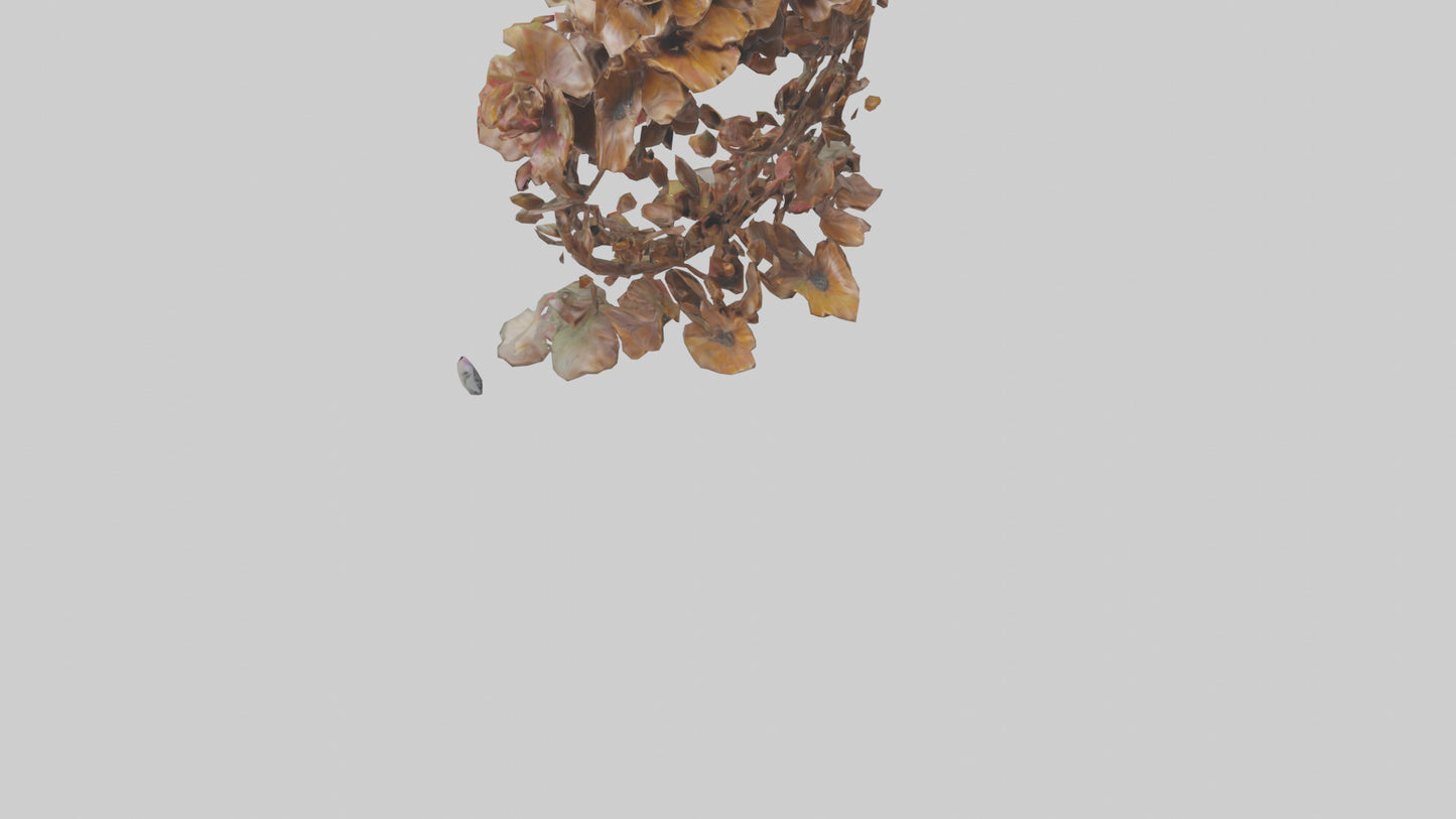 3D model Floral Twist Sculpture model VR / AR / low-poly