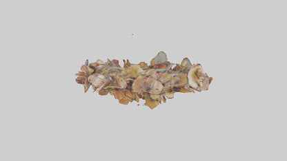 3D model Floral Twist Sculpture model VR / AR / low-poly