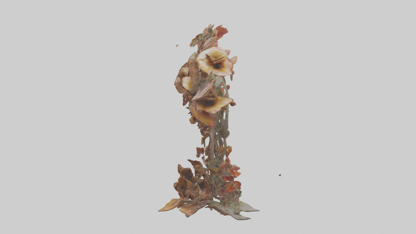 3D model Floral Twist Sculpture model VR / AR / low-poly