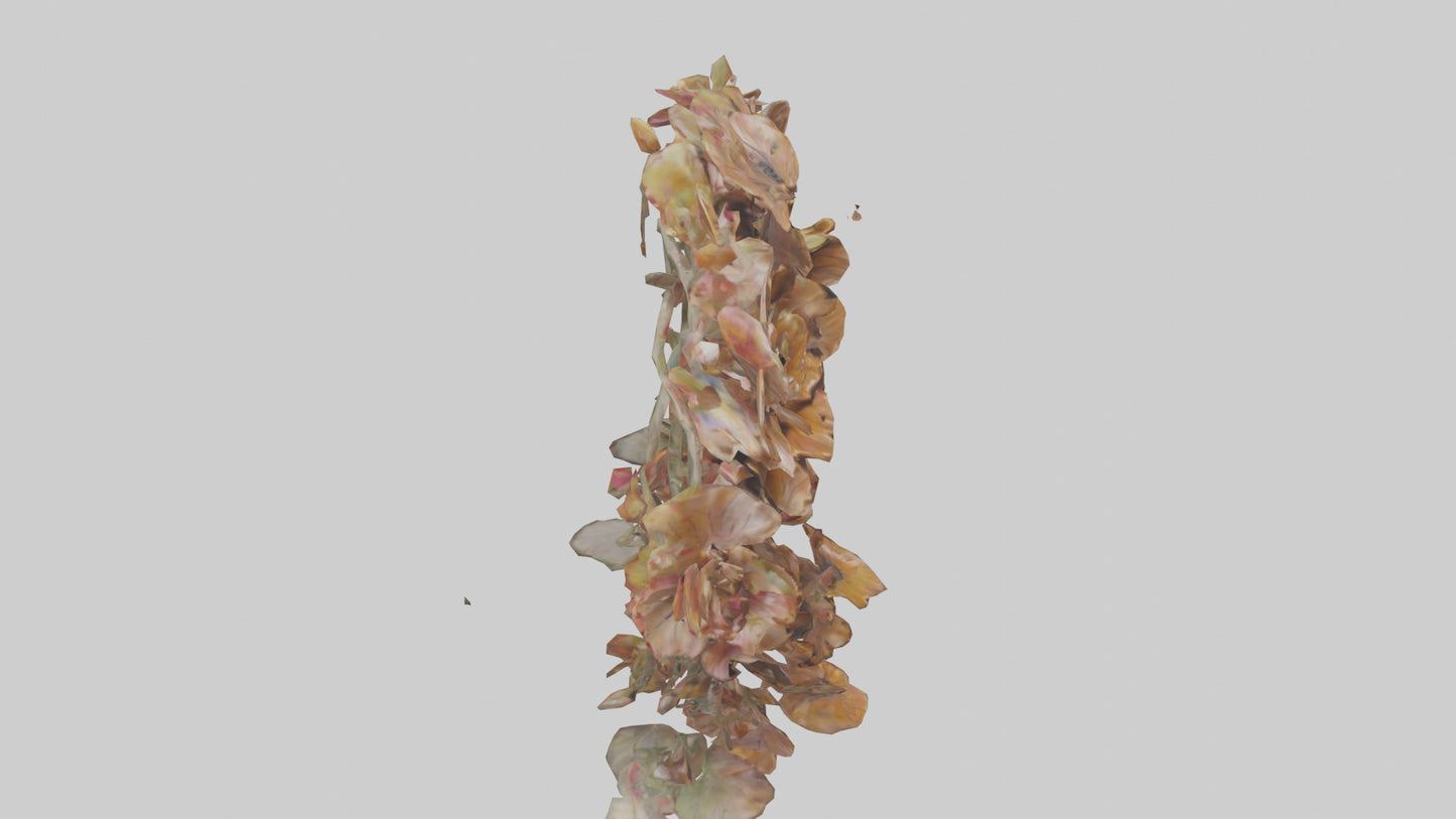 3D model Floral Twist Sculpture model VR / AR / low-poly