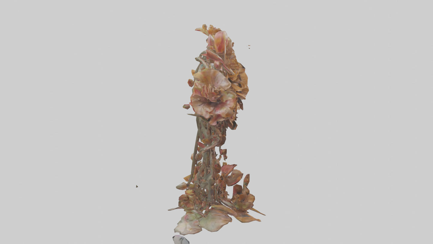 3D model Floral Twist Sculpture model VR / AR / low-poly