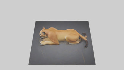 Florida Panther resting model 3D model