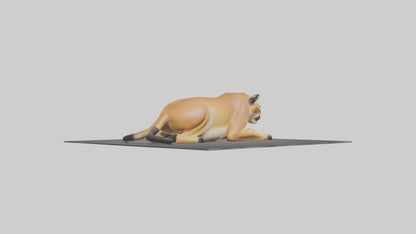 Florida Panther resting model 3D model