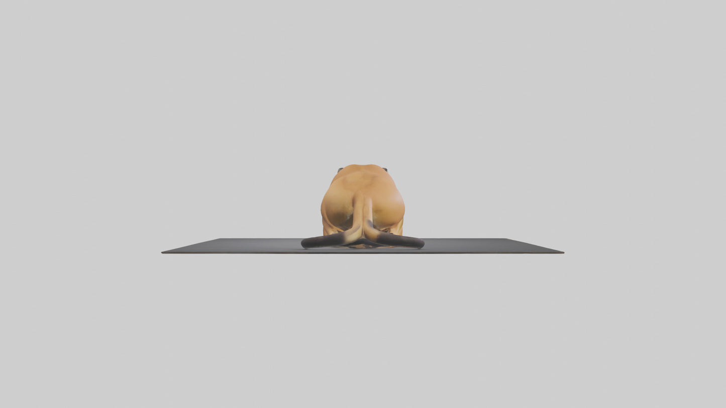 Florida Panther resting model 3D model