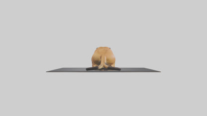 Florida Panther resting model 3D model