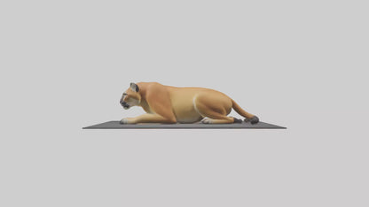 Florida Panther resting model 3D model