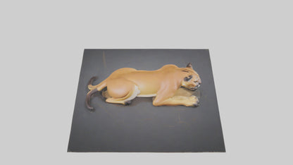 Florida Panther resting model 3D model