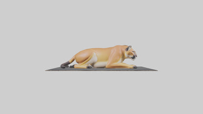Florida Panther resting model 3D model