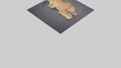 Florida Panther resting model 3D model