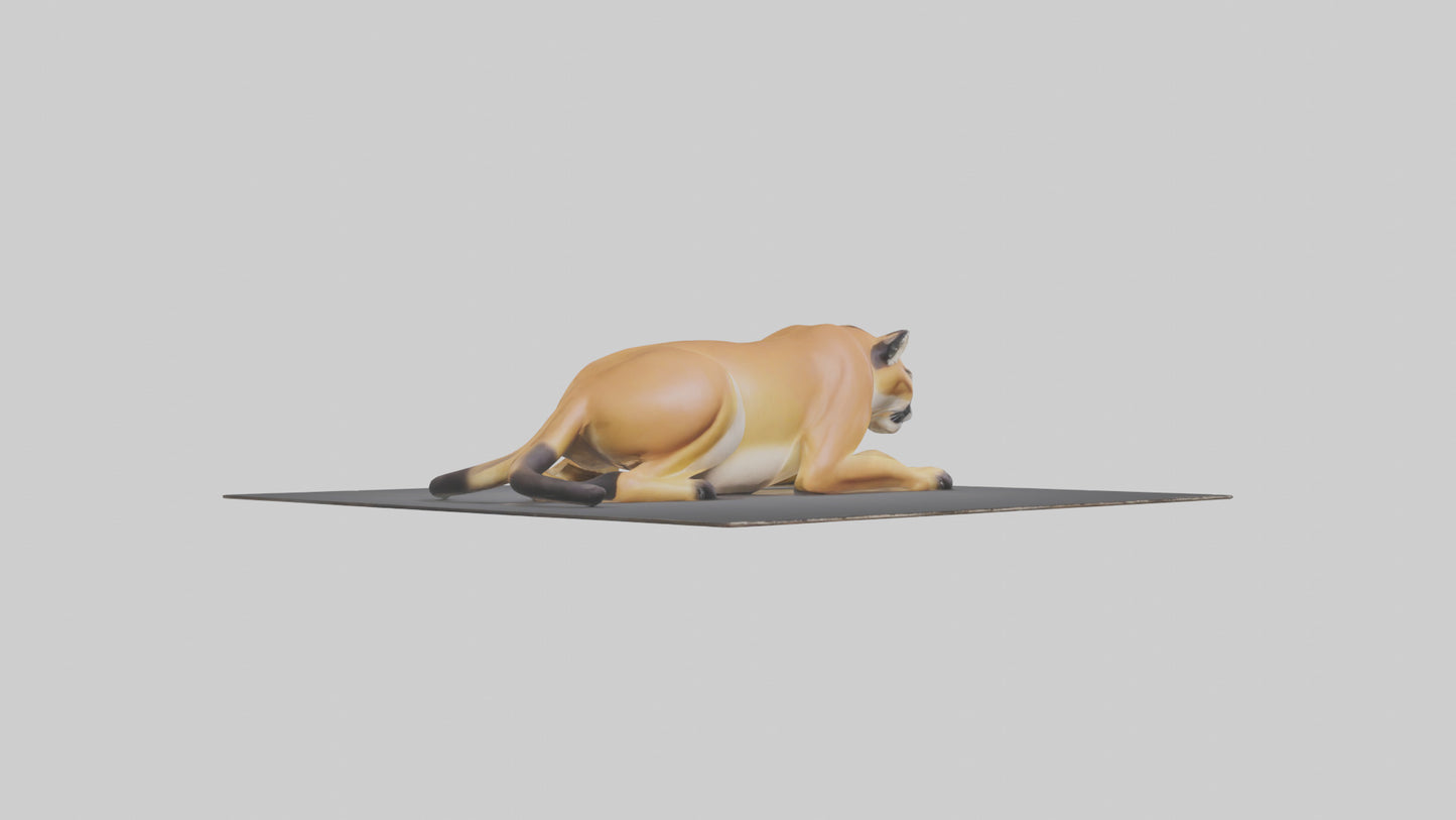 Florida Panther resting model 3D model