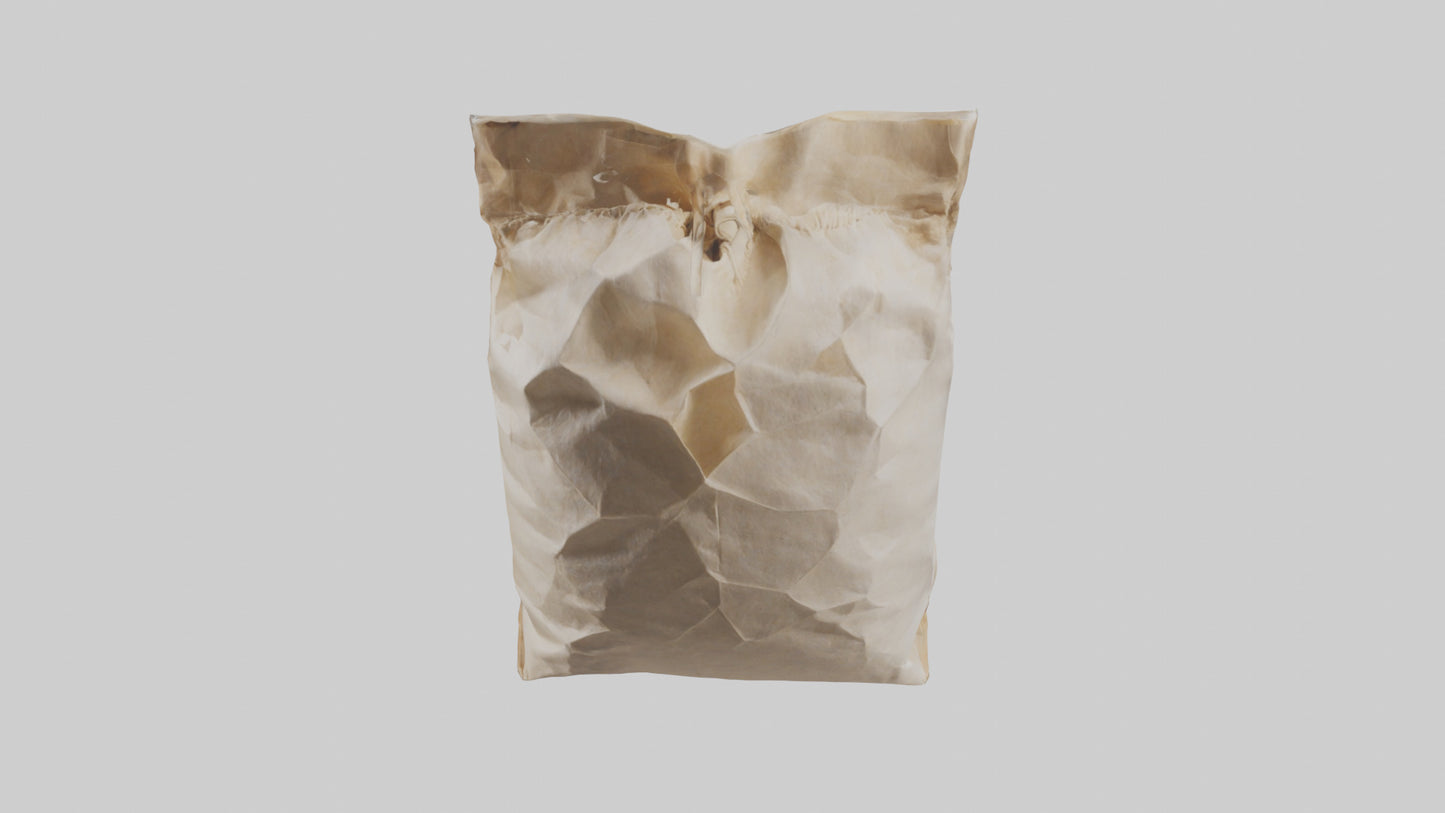 Flour Bag model 3D model
