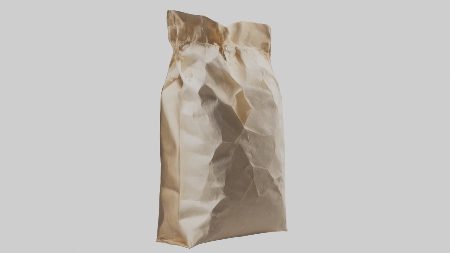 Flour Bag model 3D model