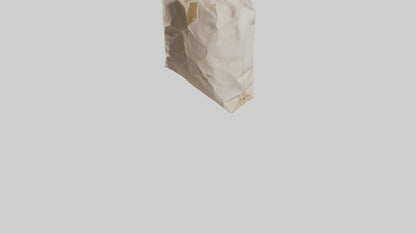 Flour Bag model 3D model