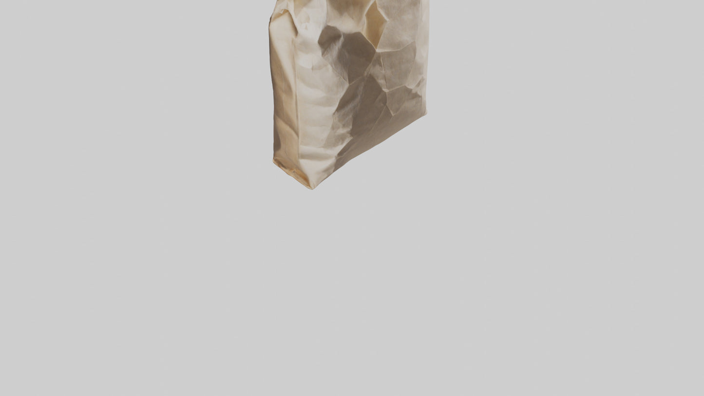Flour Bag model 3D model