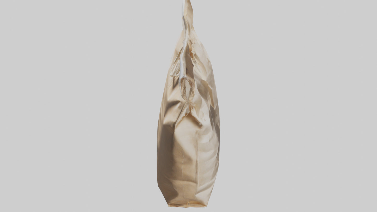Flour Bag model 3D model