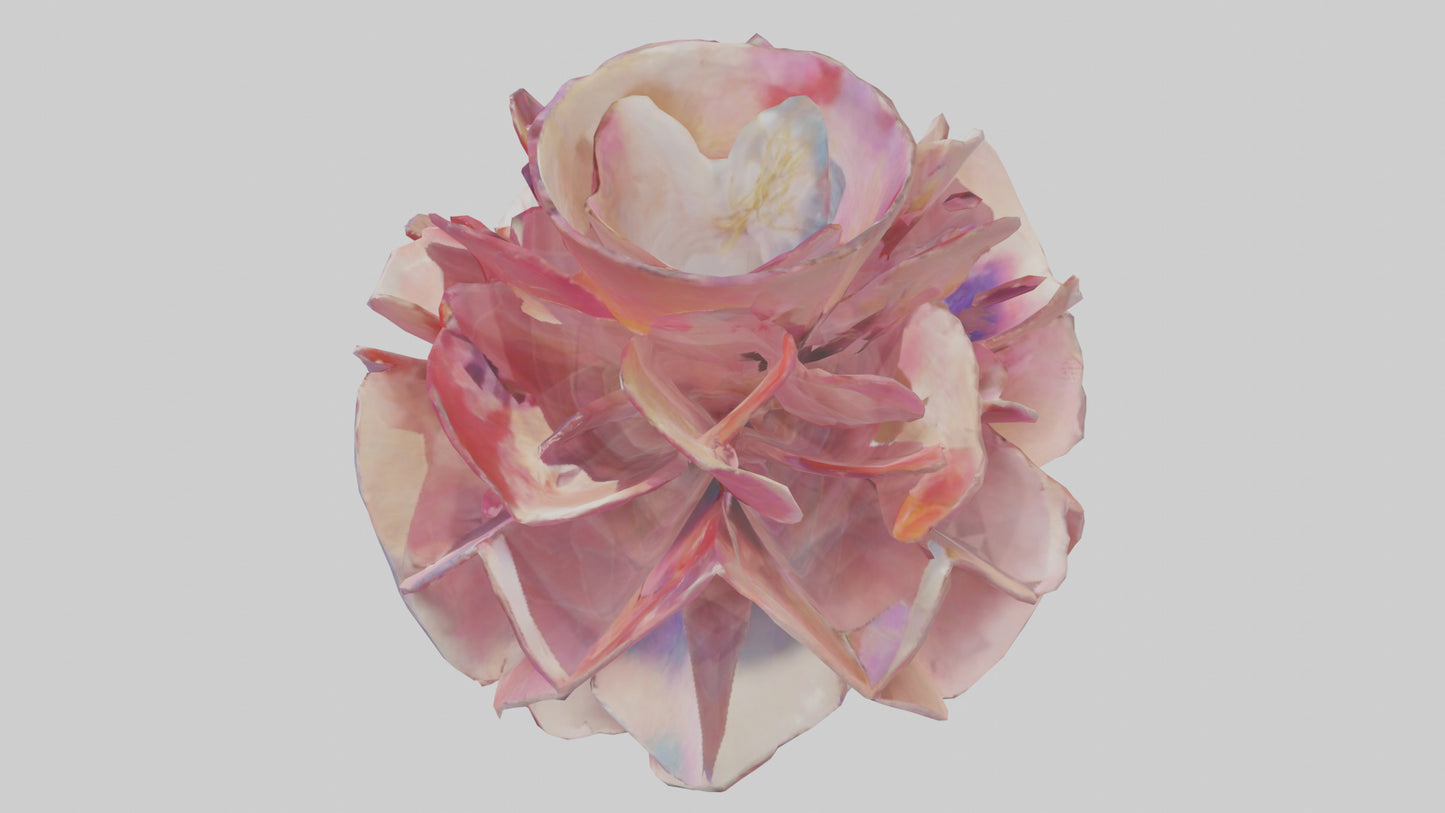 Flower Petal Fusion Sculpture model 3D model