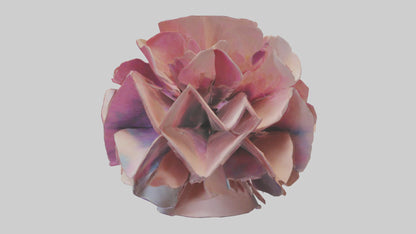 Flower Petal Fusion Sculpture model 3D model
